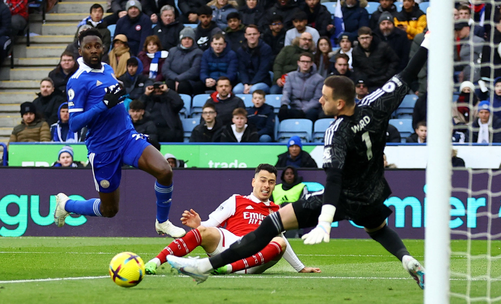 种更为广泛 种更为广泛